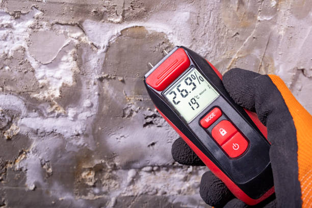 Best Mold Cleaning Services  in North Edwards, CA